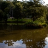 Photos of Blackbutt Reserve 3