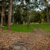 Blackbutt Reserve Photos 4