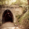 Photos of Fernleigh Track Newcastle