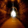 Fernleigh Track Newcastle Photos
