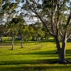 Photos of Lambton Park Newcastle