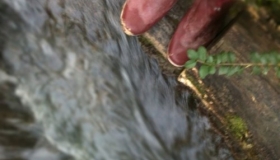 Glad I wore my wellies! (taken while wandering the Great North Walk at Whitebridge)