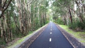 Fernleigh Track, Jewells to Belmont section