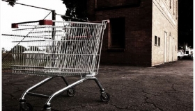 The shopping trolley