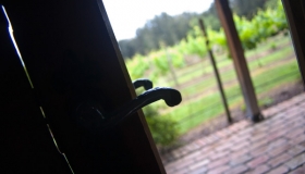 Doorway to the Vines, Tower Estate, Hunter Valley