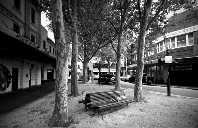 Lonely Bench