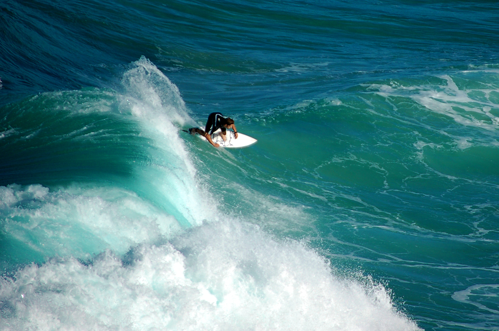 Surfest Newcastle