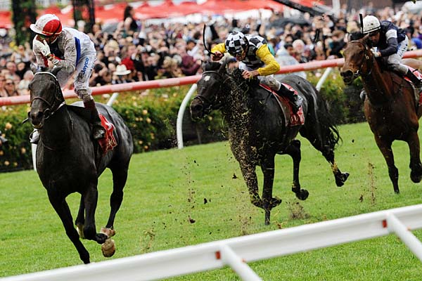 Melbourne Cup Day Melbourne Cup Day Newcastle