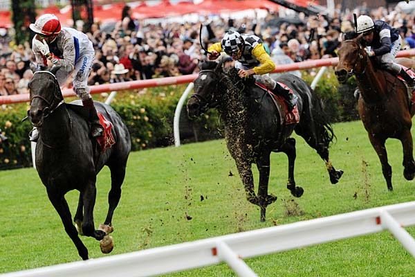 Melbourne Cup Day Newcastle