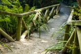 Newcastle's Best Walking Tracks